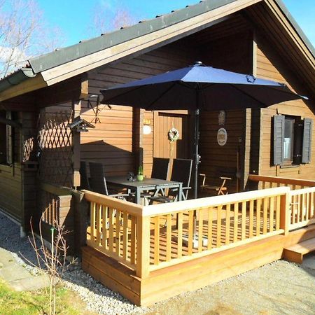Komfortables-Ferienblockhaus-Nr-27-56-Qm-Bis-4-Personen-Viechtach-Jaegerpark Exteriör bild